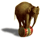 EQ Elephant.gif