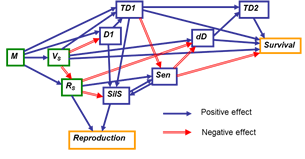 TraitNetwork